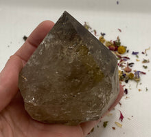 Load image into Gallery viewer, Smoky Quartz Semi Polished Cut Base Points
