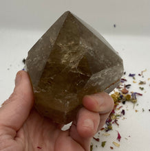 Load image into Gallery viewer, Smoky Quartz Semi Polished Cut Base Points
