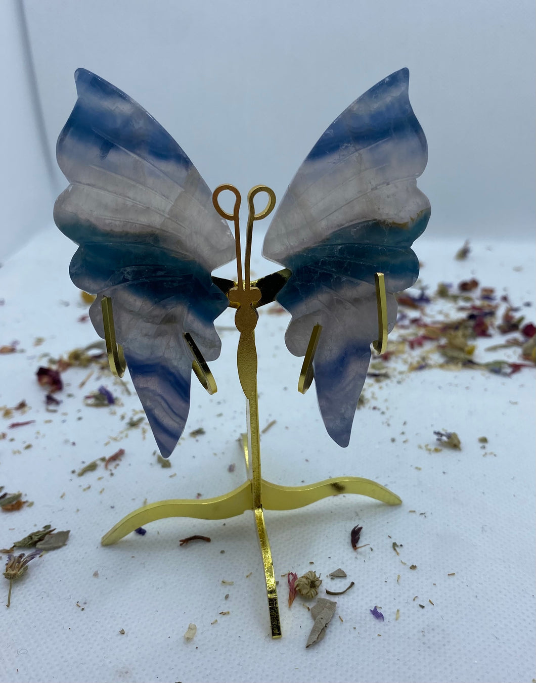 Fluorite Butterfly Wing Set- With Stand