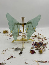 Load image into Gallery viewer, Fluorite Butterfly Wing Set- With Stand
