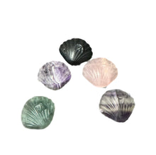 Load image into Gallery viewer, Mixed Crystal Seashell
