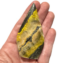 Load image into Gallery viewer, Bumblebee Jasper Freeform
