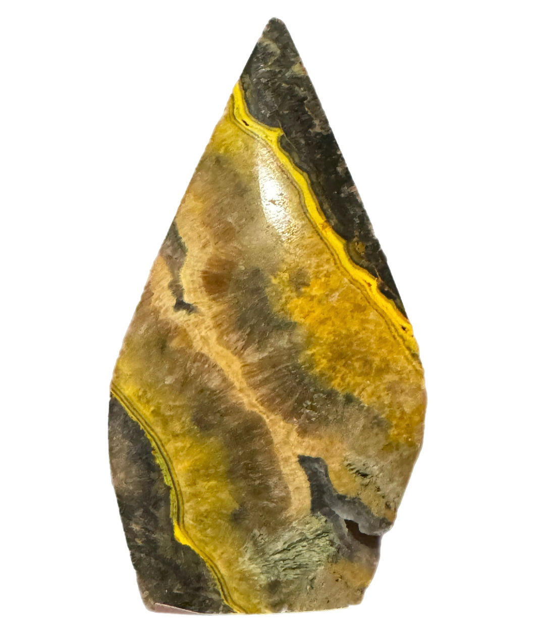 Bumblebee Jasper Freeform