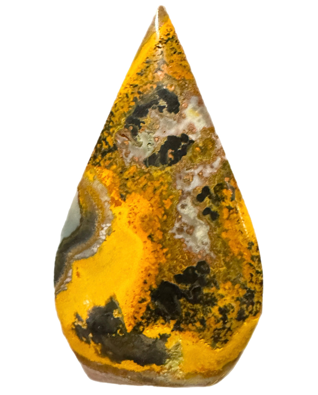 Bumblebee Jasper Freeform