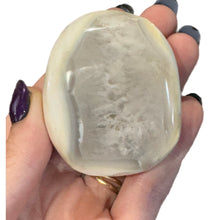 Load image into Gallery viewer, Orca Agate Palm Stones
