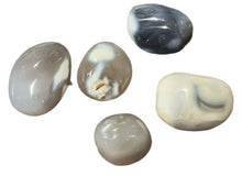 Load image into Gallery viewer, Orca Agate Palm Stones
