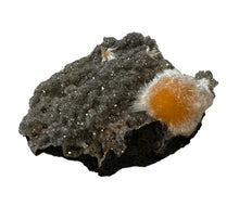 Load image into Gallery viewer, Orange Thomsonite- Rare
