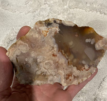 Load image into Gallery viewer, Flower Agate Slab

