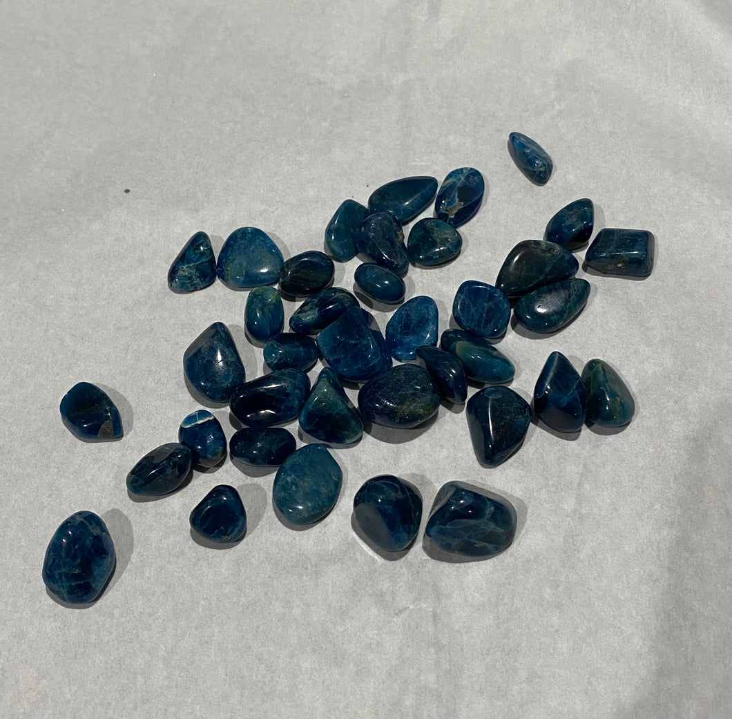 Blue Apatite Tumble- Small