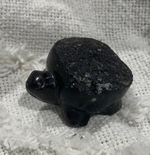 Load image into Gallery viewer, Agni Manitite Turtle
