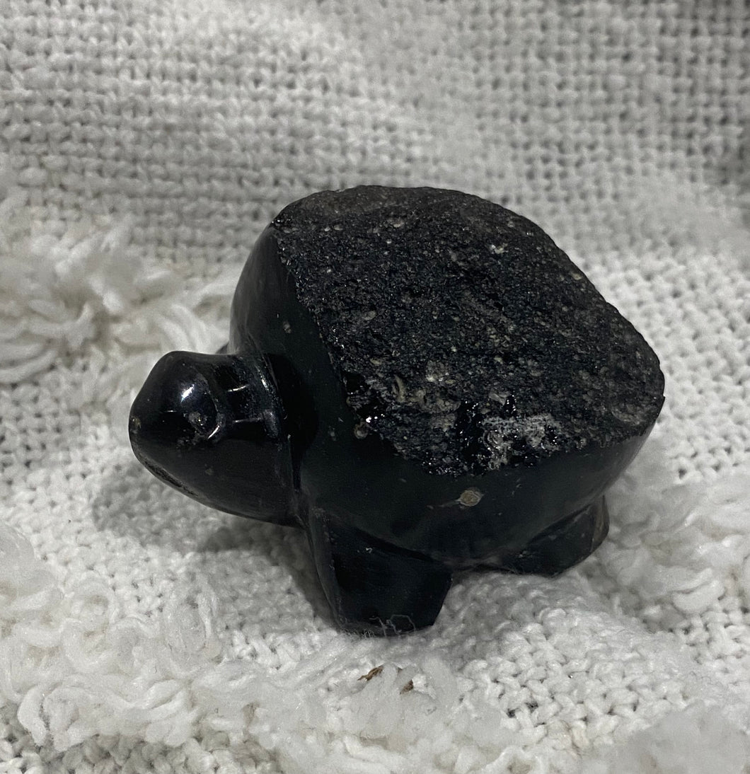 Agni Manitite Turtle