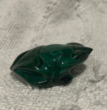 Load image into Gallery viewer, Malachite frog
