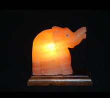 Load image into Gallery viewer, Himalayan Salt Elephant Lamp
